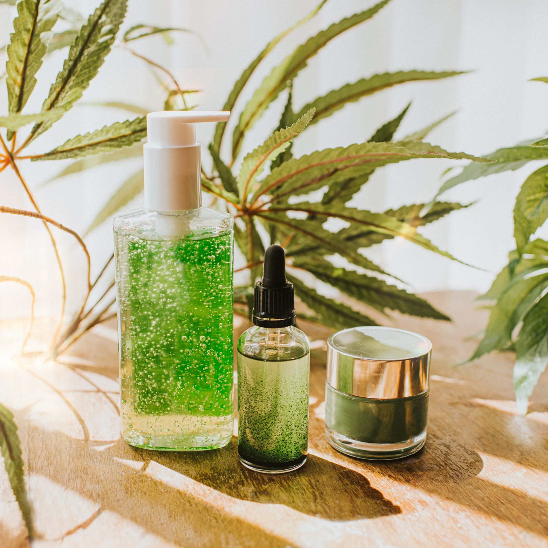 88E6EE91-6800-4B65-9681-40FB4B16F3F7